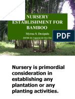 Nursery Establishment For Bamboo: Myrna S. Decipulo