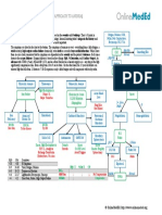 Hematology Oncology - Anemia Approach