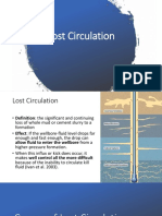 Lost Circulation - 2020