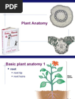 AP Bio Plant Anatomy (KFogler)