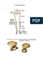 Extremidades Inferiores