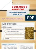 Gusanos y Moluscos