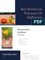 Key Botanical Feature of Safflower Presentation