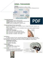 Resumo - Neuroanatomia