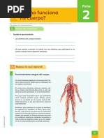 Cie1 Ficha 28092021