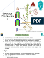 Ilovepdf Merged