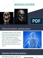 Biology Skeleton