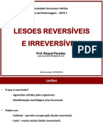 Aula 3 - Lesões Reversíveis e Irreversíveis