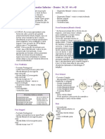 1º e 2º Pré Molar Inferior