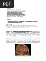 Sistema Neuroendocrino