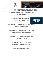 Delincuencia Organizada