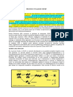 Proceso Bp-Uop Cyclar