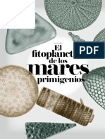 El Fitoplancton de Los Mares Primigenios Niyc0713 - 16-21