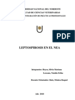 Leptospirosis en El Nordeste Argentino. Hoyos Silvia, Lezcano Natalia, Ruiz Mónica