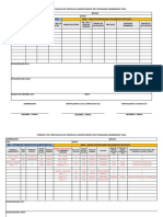 Formato en Blanco Verificacion