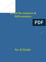 Sexual Development & Differentiation