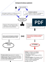 Trabajo Respi