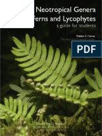 A Guide Ot Ferns and Lycopods