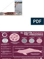 Delfín Rosado Del Amazonas