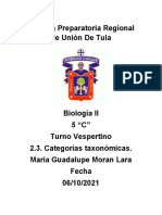 Act - 2.3. - Categorías Taxonómicas - MGML