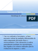 Valoración Del Inventario Ambiental