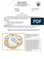 Nathanael Kean Dimasacat - Worksheet - Cells Structure