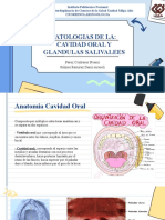 Patologias de La Cavidad Oral y Glandulas Salivales 1