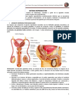 EMBRIOLOGIA TEORIA TEMA 1 Organos de Reproduccion Apoyo Teoria II-2020