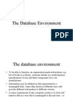 The Database Environment