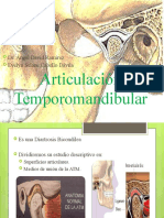 Articulación Temporomandibular