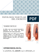 Unidad XXII. Patología Vascular Del Escroto