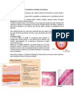 Patologia Inflamatoria Congenita y Tumoral Del Esofago