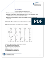 SL & HL Questions On Proteins: © DR Geoffrey Neuss, Inthinking