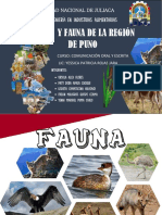 Flora y Fauna PDF