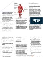 Anatomy Midterms Rev