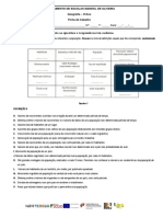 Ficha de Trabalho - Geografia - 8 Ano