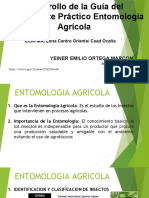 Entomologia Agricola