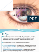 Histologia Del Ojo