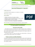 Ciencias Naturales y Salud 1er. Curso Plan Común Plantas Vasculares