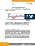 Biologia Biologia Molecular Dogma de La Biologia Molecular