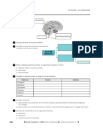 Biologia Geologia Refuerzo Ampliacion Sin Soluciones 3eso PDF 13