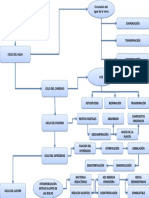 Diagrama de Flujo Ciclos Biogeoquímicos