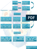 Mapa Conceptual