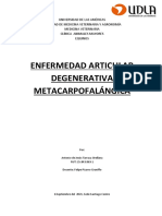 Enf. Articular Degenerativa Metacarpofalangica