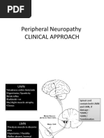 Peripheral Neuropathy Clinical Approach