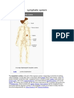 Lymph System