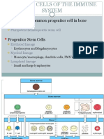 1 Cells of The Immune System