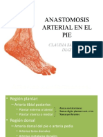 Anastomosis Arterial en El Pie