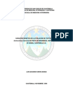 VARIACIÓN GENETICA DE LA POBLACIÓN DE TORTUGA CAREY Eretmochelys Imbricata DE PUNTA DE MANABIQUE, DEPARTAMENTO DE IZABAL, GUATEMALA C.A.