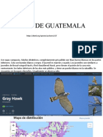 Aves de Guatemala